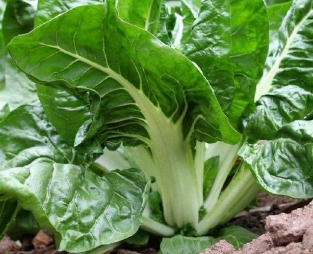 百科知识网